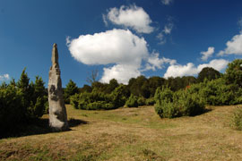 Itaidako menhirra