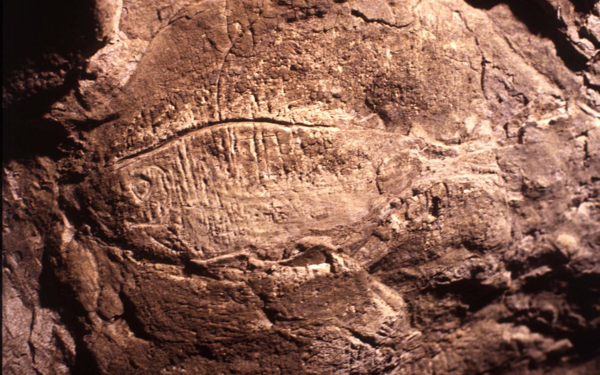 Cuevas de Altxerri