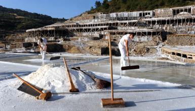 Salinas de Añana Salt Valley