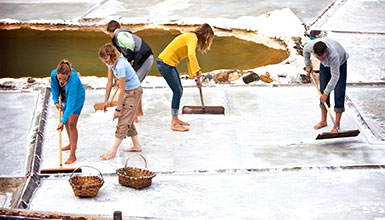 Salinas de Añana Salt Valley