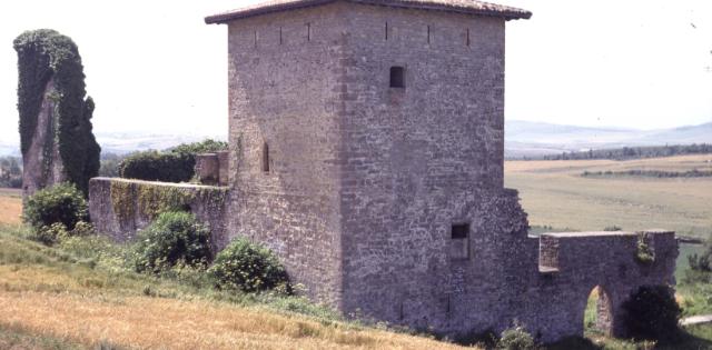 Torre-Palacio de Guevara