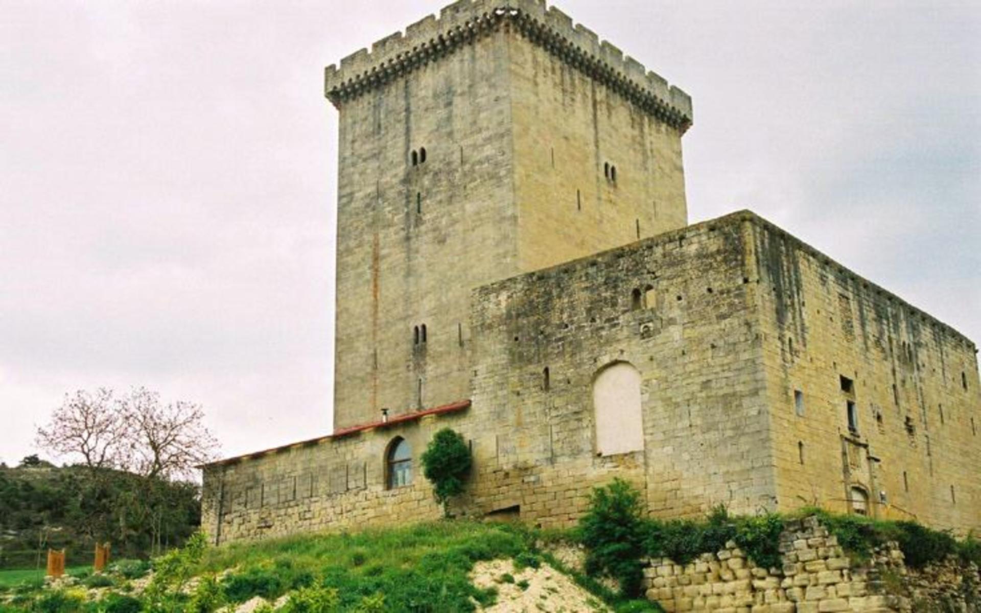 Torre de los Orgaz de Fontecha
