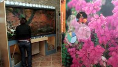 Ezti Museoa