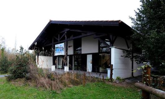 Txingudi Ekoetxea