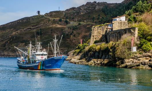 Mater Bateau co-Actif