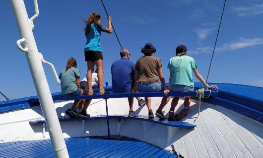 Mater Bateau co-Actif