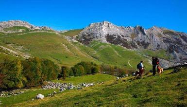 Meadows of Urbia