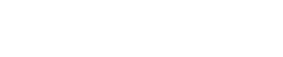 Basque Experience