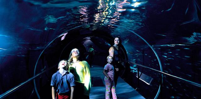 Donostiako Aquariuma