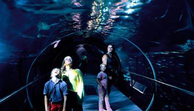 Donostiako Aquariuma