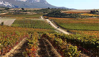 Rioja Alavesa 