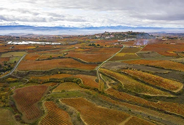 Imagen de enoturismo en rioja