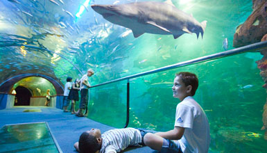 Aquarium