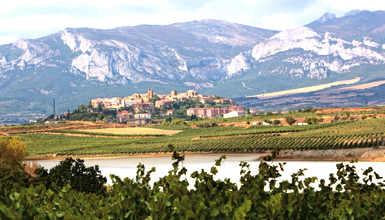 Aussichten über sie  Rioja Alavesa