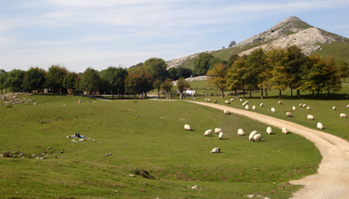 Naturpark Aizkorri-Aratz