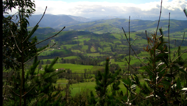 Valle de Carranza