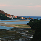 Marismas de Urdaibai